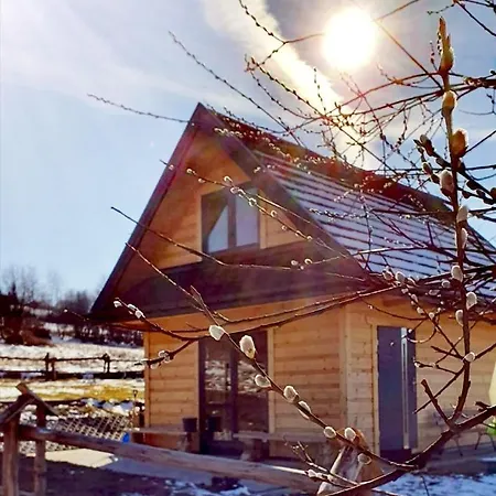 W Gorach Na Grapie Dağ evi *